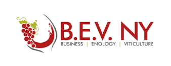 BEV 2020 BEV 2020