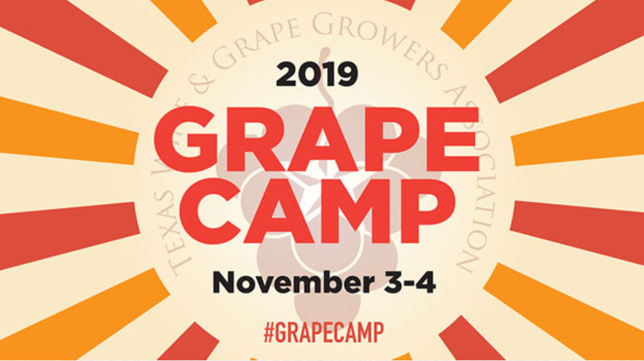 Grape Camp November 2019 Grape Camp November 2019