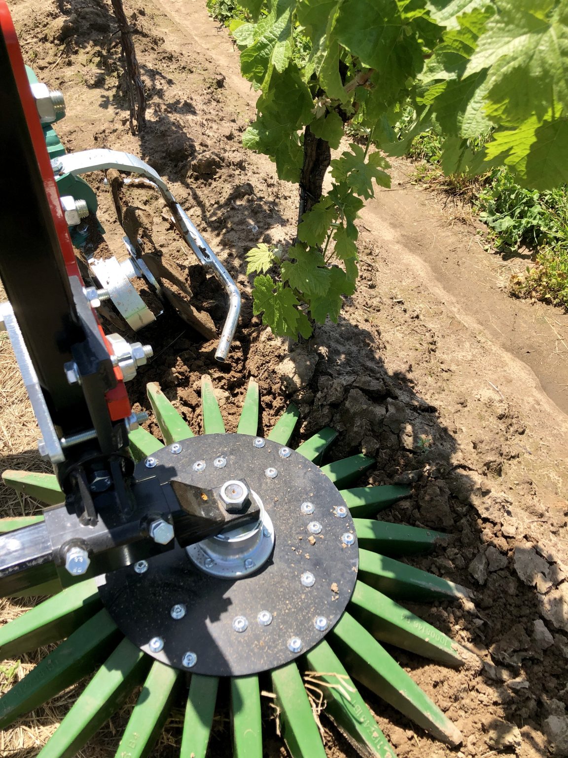 Clemens Finger Roller/Weeder Lakeview Vineyard Equipment