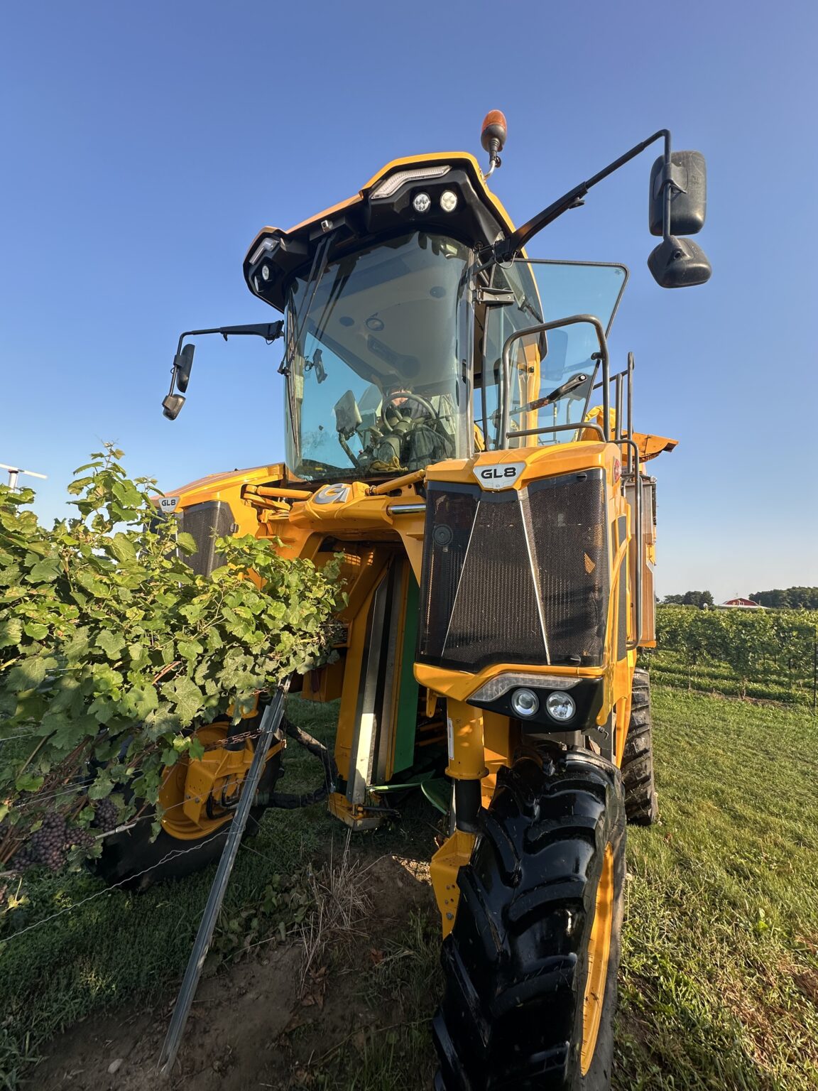 Used 2020 Gregoire GL8.6 Grape Harvester - Lakeview Vineyard Equipment